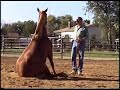 spirit-horses.html