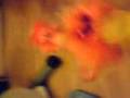 MOV00157 MOV00157