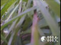 Video Inspection of Sewer - Baton Rouge Home Improvement (Part 02)