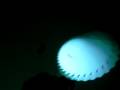 video feedback light show - Exploratorium