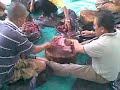 bintulu stick rusa geng LMS 11102009.mp4