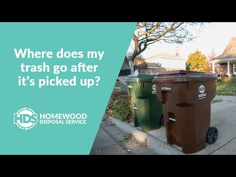 Where Does My Trash Go After it's Picked up?