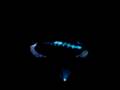 videos de lego leage 08 lasershow eskilstuna
