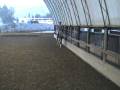 videos de Winnie - Cantering