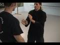 videos de 詠春[中線概念示範] Ving Tsun center line