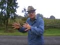 Die Handtasche - Comedy aus Kattenvenne