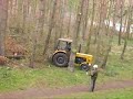 Wielka wycinka lasu Wielka wycinka lasu