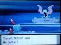 Pokemon Diamond Adventures Part 75: Victory Road Pt.2