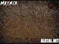 arabic drift