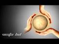 Planet Care Dreamscene