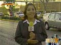 Burros en avenida transitada