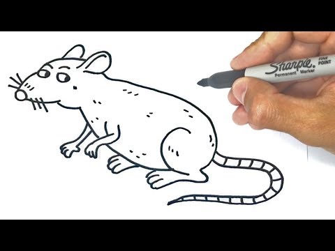 video-linktoworks-How to draw a Rat Step by Step | Drawings Tutorials - YouTube