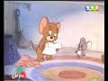 العنف النفسي ضد المراة