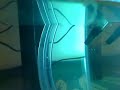 40Gallon FW tank - 20Gallon sump - 10gallon refugium
