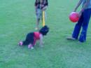 Ananya in the park