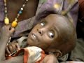 un hommage a tous les enfants qui ne sont pas libre comme nous...