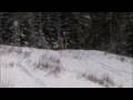 Hammerhead Sleds Review www.TrailMasterOutdoors.com