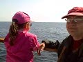 2000 short beaked common dolphin  3 31 08 ca