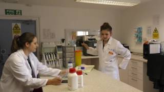 Medics North Wales (Urology Research @ BCUHB, Wrexham Maelor Hospital)