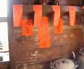 videos de 漁船上的導賞 - inside the fishing boat