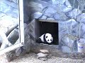 Mei-Lan 23.02.07