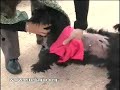 Sentencia pionera en España: mujer condendada por abandono