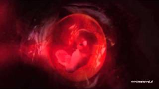 Stop Aborcji!! หลายภาพอาจสะเทือนใจหลายๆท่าน