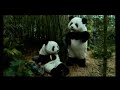 los pandas - las vacaciones