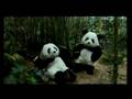 los pandas - las vacaciones