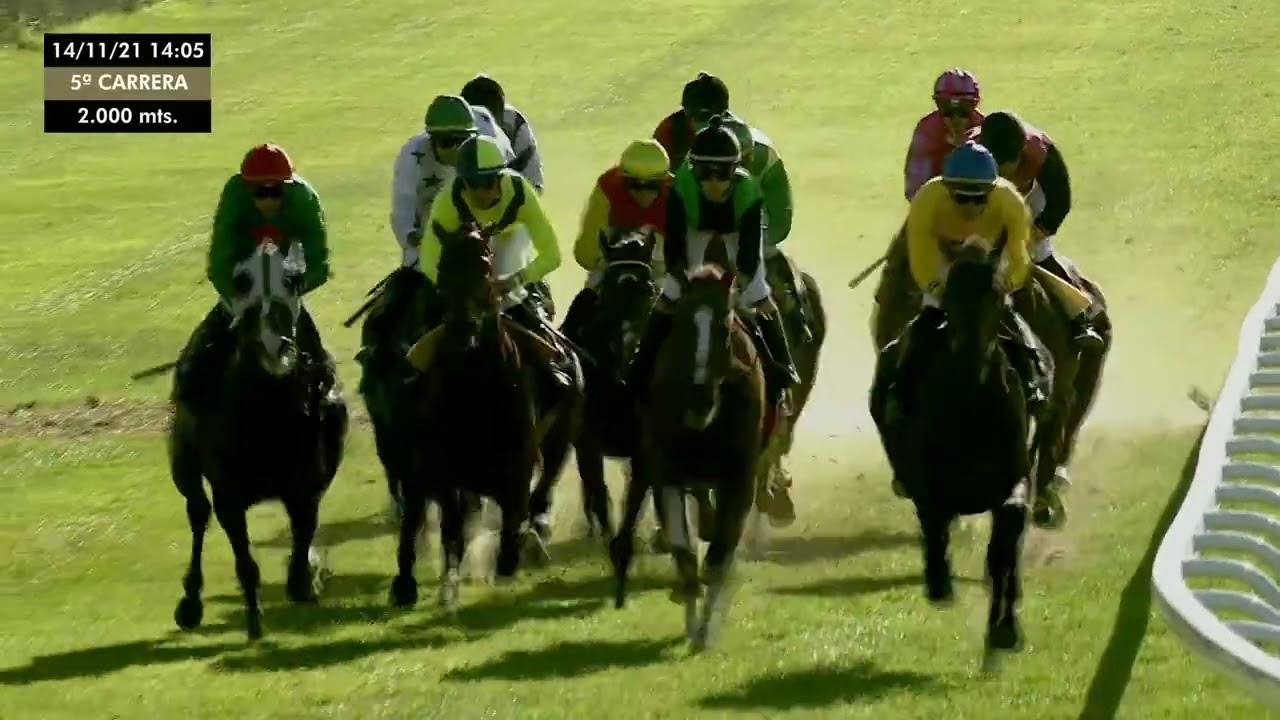 14-11-2021 5ª Carrera- GRAN PREMIO ROMÁN MARTÍN (CATEGORÍA A) (MADE IN SPAIN)