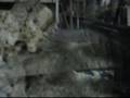 干満水槽試作1