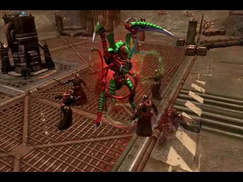 dawn of war dawn of war