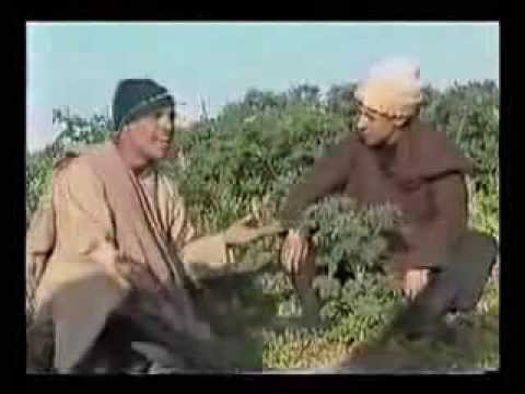 فكاهة -