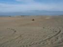 On the dunes