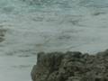 Windsurfing in Cikat