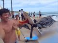 Surf Hawaii: Surfing Waikiki Summer Fun with Go-Naminori 2