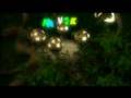 videos de Forest