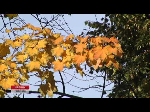 Бюджет прожиточного минимума с первого ноября повысится видео