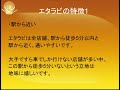 エタラビ(エターナルラビリンス)全身脱毛の特徴 全身脱毛