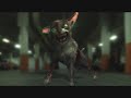 zombie dog zombie dog