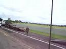 Kemble 2007