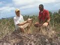 Tribal TV - Episode 8