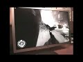 Call of Duty 2 8800gtx SLi Quadcore 6700 \"30\"LCD