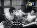 rumah sewa rumah sewa