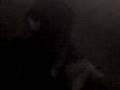 videos de USAF-Security Forces FUZZ part 2