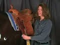 Weaver Leather Smart Cinch Weaver Leather Smart Cinch