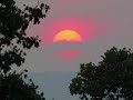 Virginia in the summer