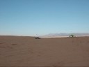 Short Sand Cars SHANE SHORT