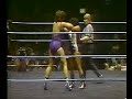 Fabulous Moolah Sherri Martel vs. Judy Martin Penny Mitchell