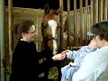 2007 sahiba spring affair all-breed horse show